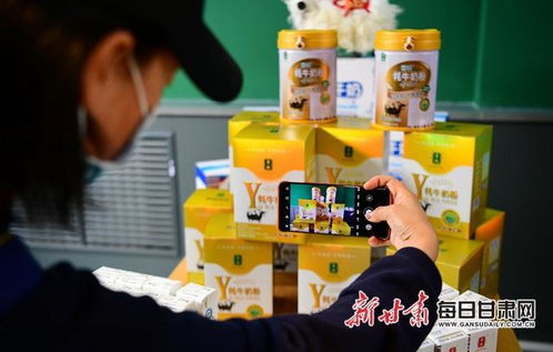 走进夏河县雪顿牦牛乳业车间,看看奶制品怎么生产