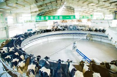 富源国际:“中国乳品制造”的中坚力量