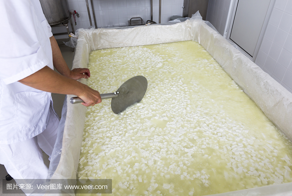 芝士工人双手将乳脂和乳制品混合