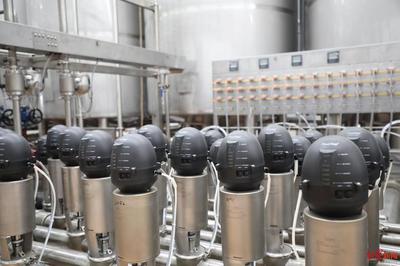 年产12万吨乳品,全国最大菊乐生产基地即将在成都新津试生产