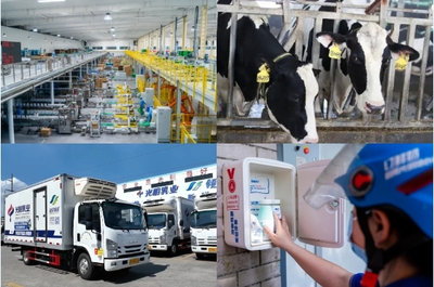 光明乳业树立典范,高质量发展推动品牌强国建设