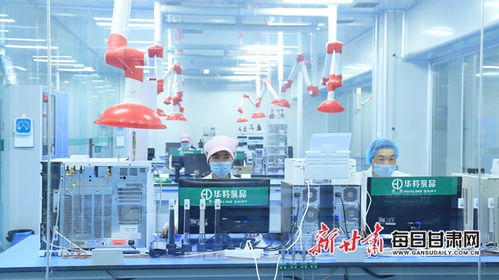 美仁大草原游客服务中心在华羚集团建成投运 甘南州三产融合再获新突破