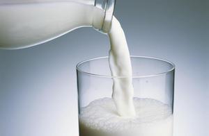 【上海乳制品进口海运进口订舱代理】价格_厂家_图片 -