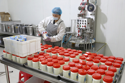 新疆库尔勒:美味酸奶助农增收