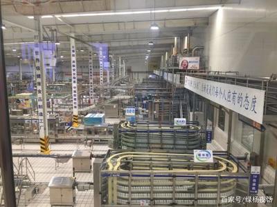 【走访新宁夏 见证新发展】伊利奶业为何看中宁夏这块宝地?