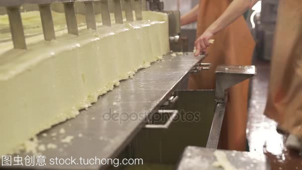 现代化生产线上的牛奶与乳制品制造
